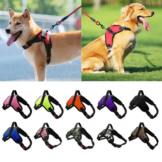 https://ae01.alicdn.com/kf/S37d7466d5b36412a869abe437855d5af4/Pet-Dogs-Adjustable-Harness-Small-and-Large-Dog-Harness-Vest-150cm-Strong-Dog-Leash-Pet-Leashes.jpg
