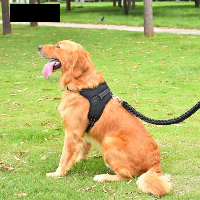 https://ae01.alicdn.com/kf/S2ecdead2d94c420f966742c872f026cfj/Pet-Dogs-Adjustable-Harness-Small-and-Large-Dog-Harness-Vest-150cm-Strong-Dog-Leash-Pet-Leashes.jpg